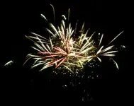 DSCN5206.webp