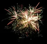DSCN5205.webp