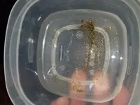20180527_183313.webp