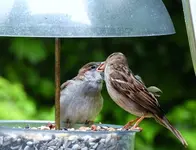 K1600_066.webp