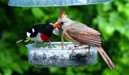 K1600_021.webp
