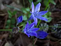 DSCN1809.webp