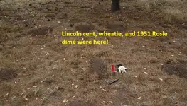 Walking Liberty Half 010.webp