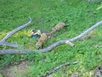 DSCN3411.webp