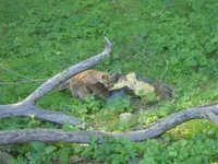 DSCN3373.webp