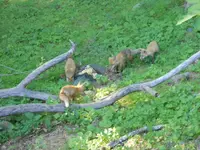 DSCN3438.webp DSCN3438.webp