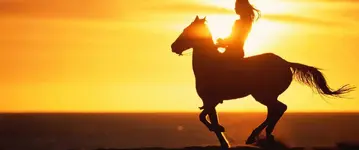 oahu-horseback.webp