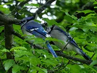 K1600_056.webp