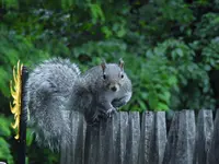 K1600_031.webp
