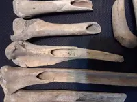 20180604_171436.webp