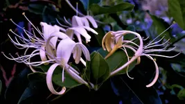 DSCN1899.webp
