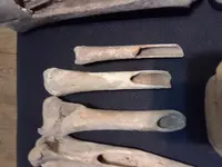 20180604_171416.webp
