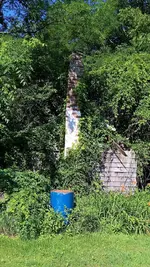 WP_20180708_09_32_37_Pro (2).webp