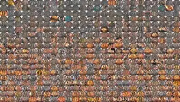 20180502_Pennys01.webp 20180502_Pennys01.webp