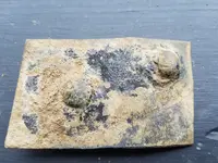 20180731_170736.webp