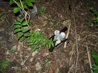 beer pile.webp