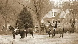 ss-history-hunt-679x388.webp ss-history-hunt-679x388.webp