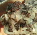 20180528_064044-1-1.webp