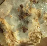 20180528_064111-1.webp