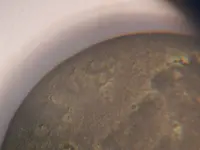 DSCN8621.webp