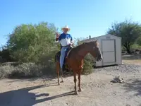 DSCN0158.webp