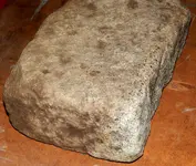 DSCN5226.webp