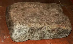 DSCN5230.webp