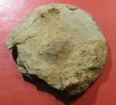 mdfinds2b.webp