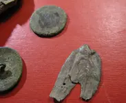 mdfinds3.webp