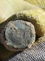 20180722_083012.webp
