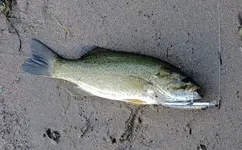 K1600_K1600_007.webp