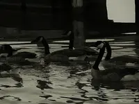 DSCN5144.webp