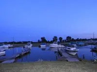 DSCN5147.webp