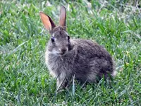 DSCN6215.webp
