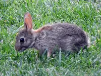 DSCN6217.webp