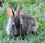DSCN6219.webp