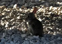 DSCN6230.webp