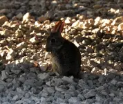 DSCN6231.webp