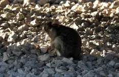 DSCN6233.webp