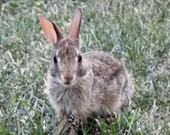 DSCN6236.webp