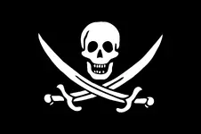 Pirate_Flag_of_Jack_Rackham.svg.webp