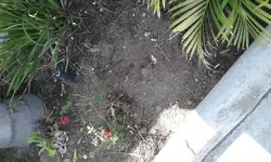 20180605_141453.webp