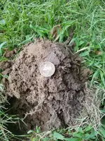 20180722_145044.webp