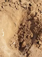 20180603_094759.webp