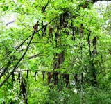 K1600_010.webp