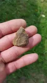ImageUploadedByTreasureNet.com1531535234.342908.webp