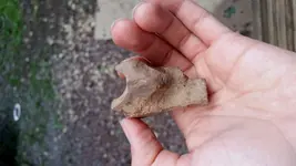 20180801_173853.webp