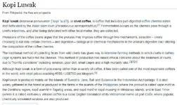 civet.webp