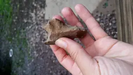 20180801_173912.webp