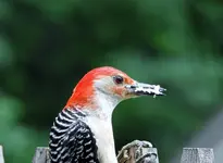 K1600_050_InPixio.webp
